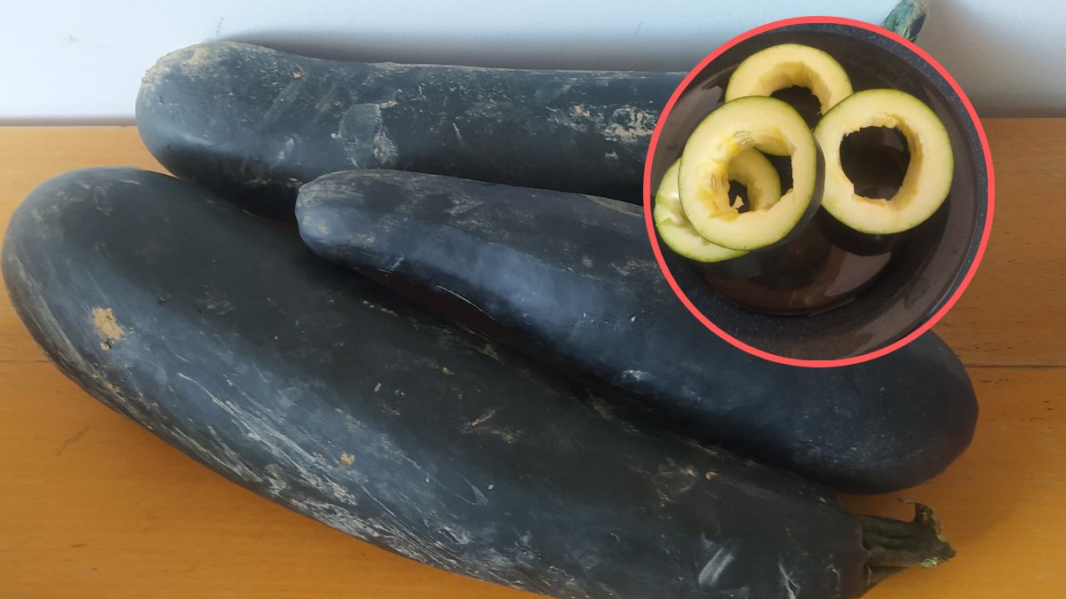 Cukiniowe krążki to sposób na wykorzystanie dużej cukinii