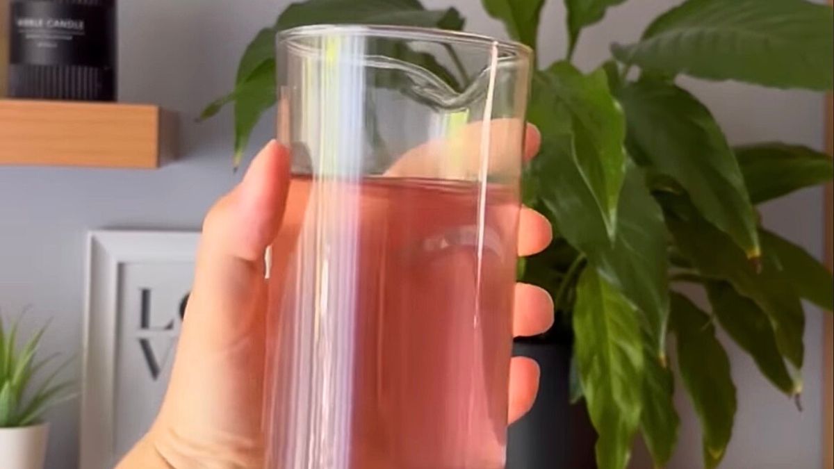 Genialny nawóz do kwiatów doniczkowych