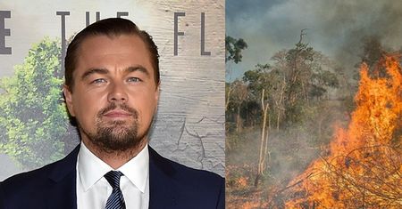 Leonardo DiCaprio przeznaczył PIĘĆ MILIONÓW dolarów na walkę z pożarem Amazonii!