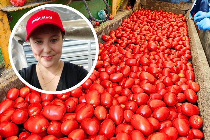 Wskoczyłam na kombajn w Pudliszkach. W tej wsi od wieku powstaje kultowy ketchup