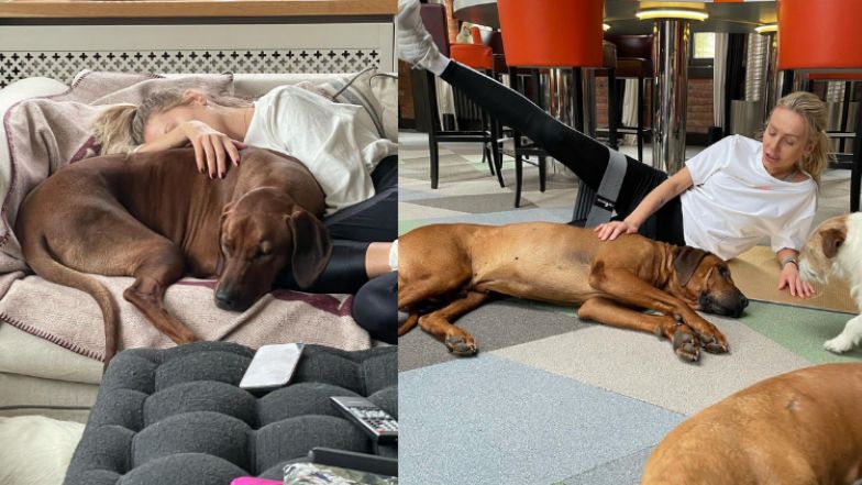  Zobaczcie jak mieszka Agnieszka Woźniak-Starak! 