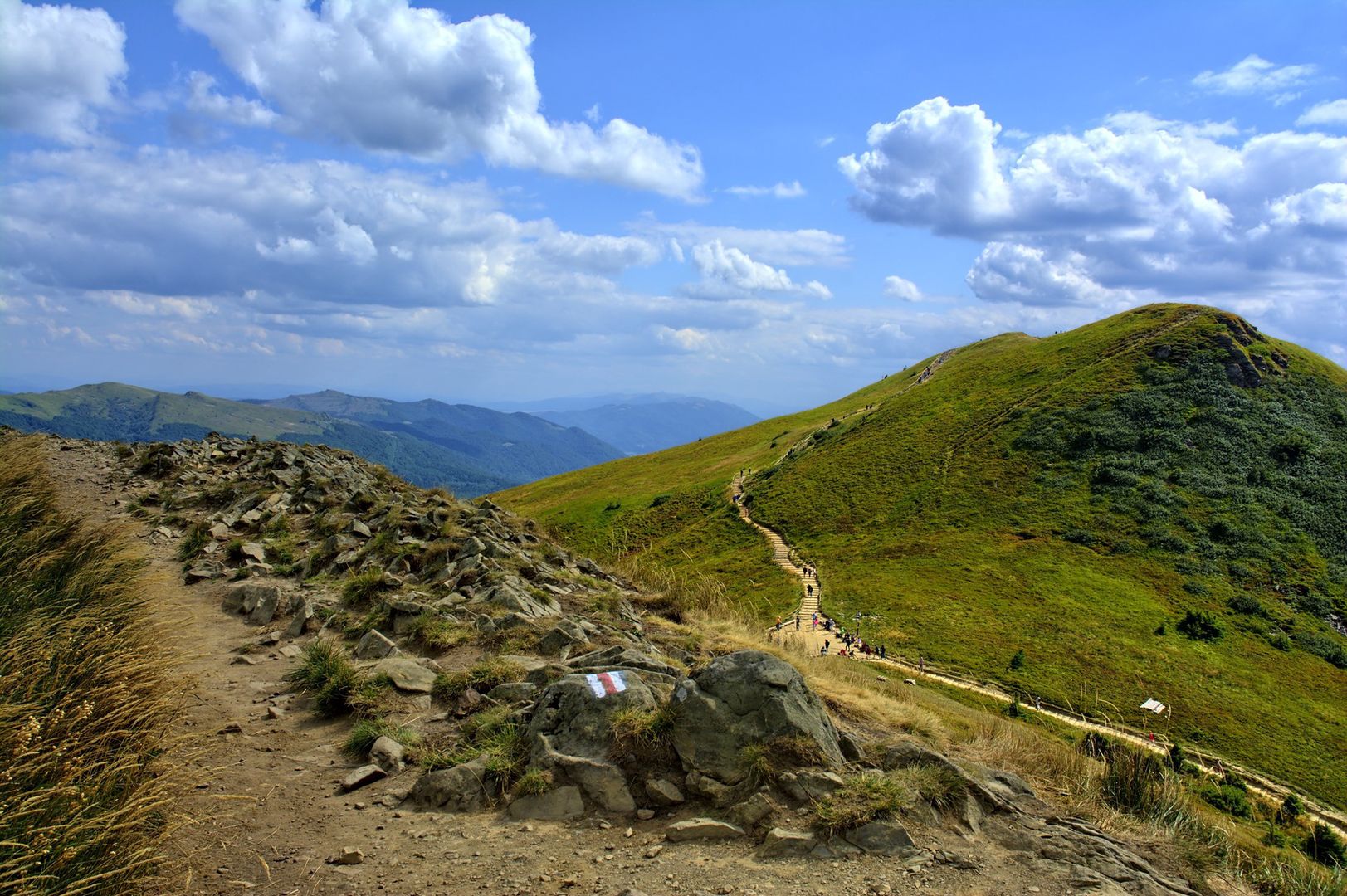 Bieszczady. Odnaleziono ludzkie szczątki. Obok leżał australijski dokument