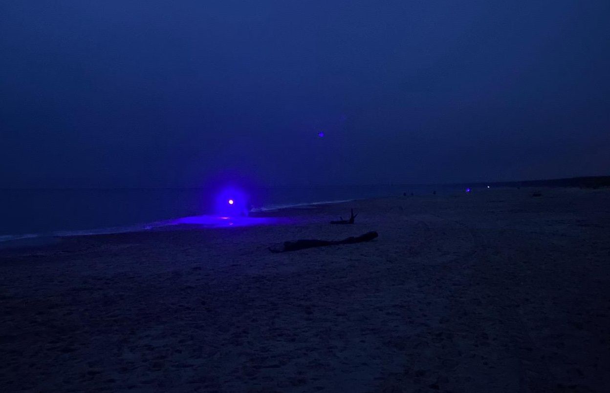 Mysterious lights on the beach. Only a few know what they mean