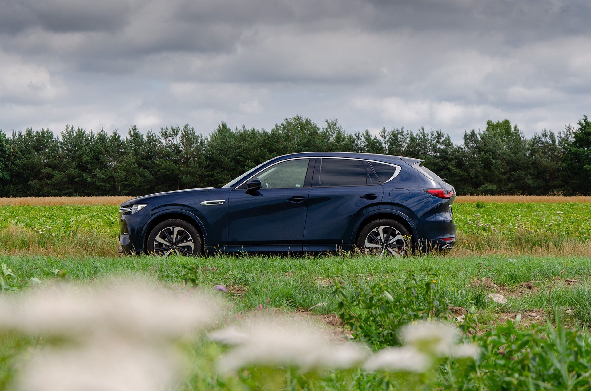 Mazda CX-60 pozwala pojechać drogą przez łąkę, jeśli nie ma głęb