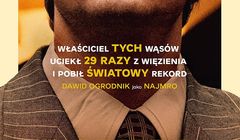 Premiera „Najmro. Kocha, kradnie, szanuje”, koprodukcji Grupy Polsat przesunięta na 17 września