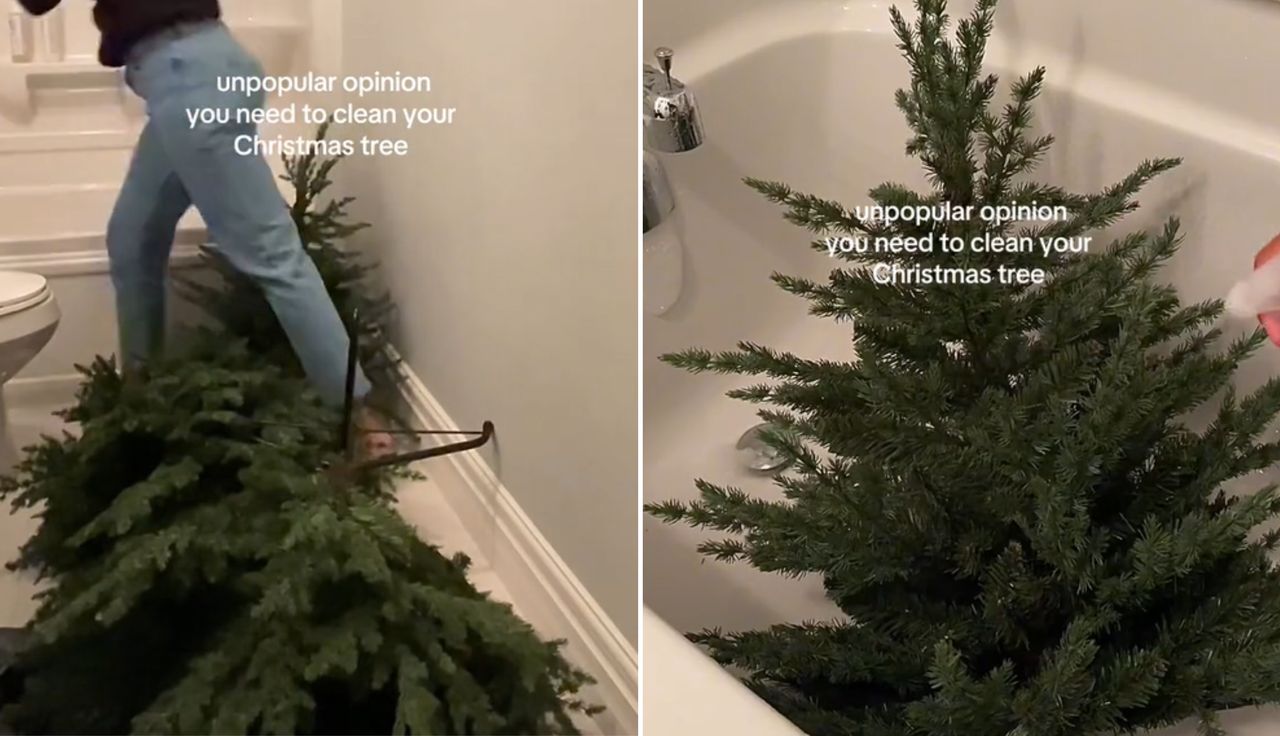 2.5 million views for a Christmas Tree? This video caused quite a stir