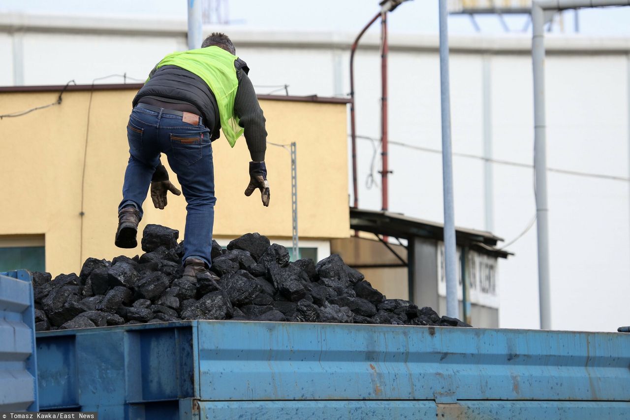 Ponad 100 tys. klientów naraz w e-sklepie PGG. Pod kopalnią komitet kolejkowy