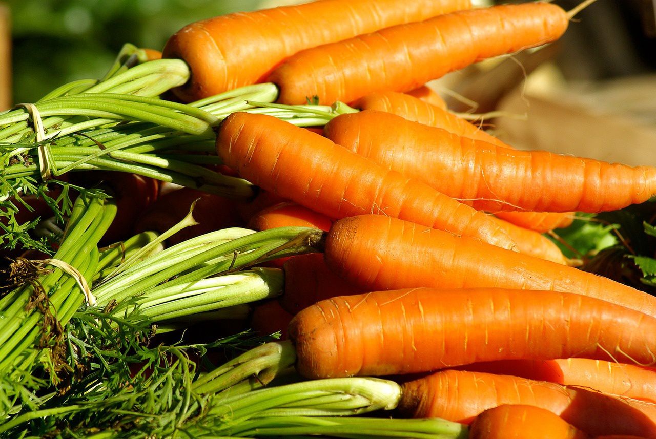 Carrot leaves are very healthy.