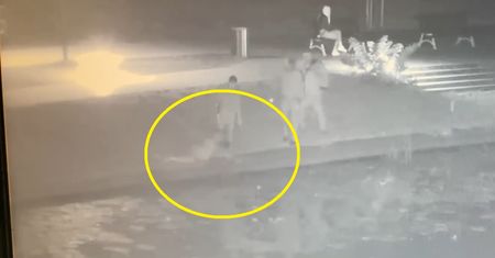 Kot szedł brzegiem rzeki. Władzie Nowego Dworu szukają ludzi z nagrania