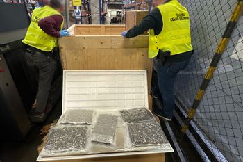 Przemyt warty 4,5 mln zł. Oto co znaleźli w panelach ledowych