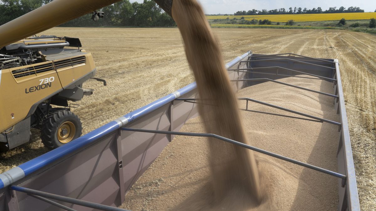 USA kupią 150 tys. ton pszenicy z Ukrainy