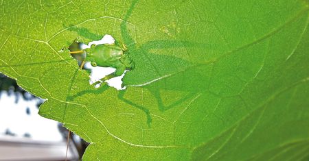 Zobacz zdjęcia, które wygrały w National Geographic Kids Photo Contest 2015