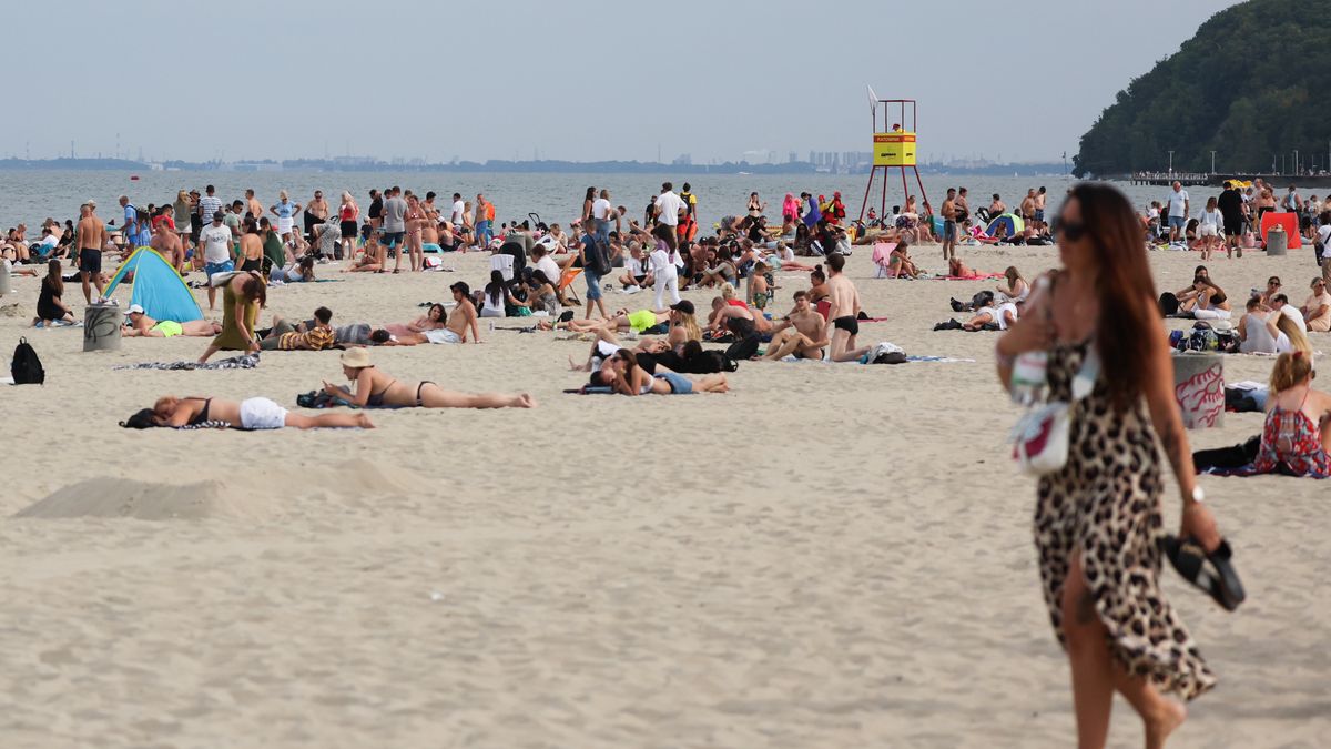 Gdynia Beach
People are seen at the beach in Gdynia, Poland on August 18, 2024. (Photo by Jakub Porzycki/NurPhoto via Getty Images)
NurPhoto
Polish beach, August 18, beachgoers, destination, Pomeraniam, pomerania, coastline, Baltic coast, photography, vacation, relaxation, travel, sun, holiday, outdoor activity, scenic, tourism, sunbathing, beach, 2024, holidays, Gdynia, people, sea, summer, polish, public, weekend getaway, family outing, seaside, swimming, NurPhoto, coastal city, leisure, sand, baltic, poland, Poland, Baltic Sea, Jakub Porzycki