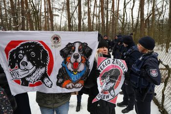 Prawniczka o schronisku w Sobolewie. "Sytuacja jest bardzo trudna"