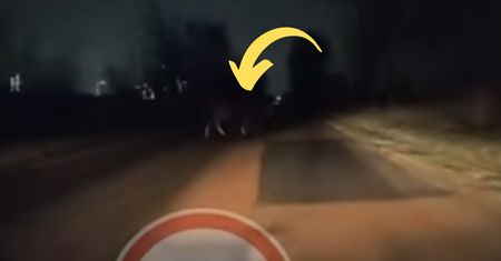 Pojawił się na drodze. Kierowca w szoku. "O tej porze bez opieki?"