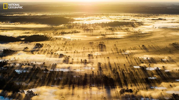 National Geographic Photo Contest 2015 - galeria pierwszych imponujących zdjęć zgłoszonych do konkursu 9