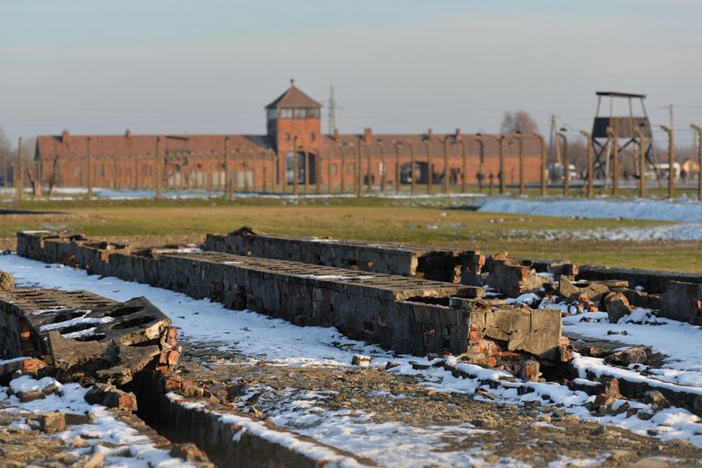 Samorząd gminy Oświęcim ponownie ogłosi przetarg na budowę drogi w sąsiedztwie dawnego obozu koncentracyjnego
