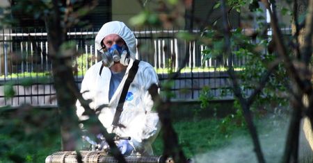 Mogły przebyć 24 kilometry. Plaga po deszczu dotarła do Wrocławia