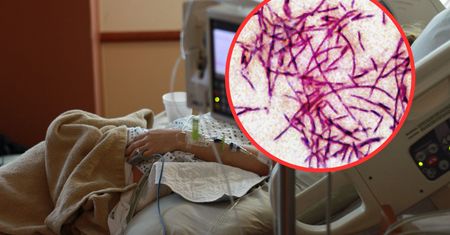 Legionella. Sposoby zarażenia, zapobieganie, leczenie. Coraz więcej zakażeń w Polsce