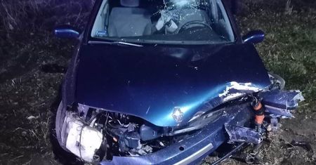 Renault zjechał na pobocze i uderzył w drzewo. Policja wyjaśnia okoliczności zdarzenia na DK82