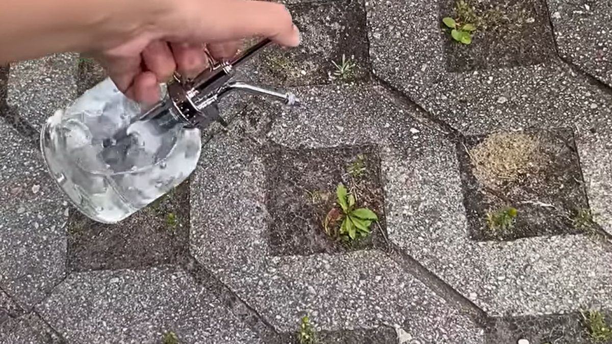 Pryskanie chwastów domowym roztworem