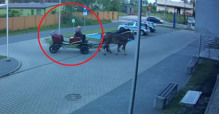 Przyjechał bryczką pod komendę. Policjanci czuli, że coś się święci
