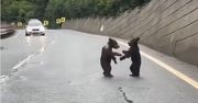 Niezwykłe wideo z Tatr. Wszystko się nagrało