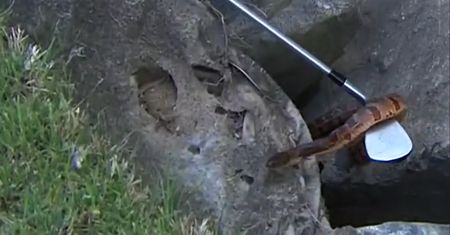 Nerwy ze stali. To zobaczył w trakcie gry