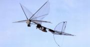 IAI Butterfly – roboinsekt z Izraela [wideo]