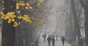 Polskie powietrze powoduje raka. Jesteśmy najgorsi w Europie