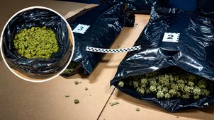 Marihuana w paczce kuriera. Wielki przemyt wykryty pod Piłą