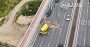 Warszawa: Poważne zderzenie na moście Południowym. Trzy pasy zablokowane