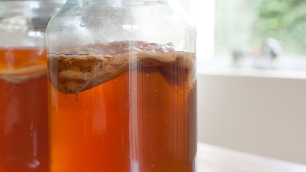 Kombucha to eliksir dobry dla zdrowia