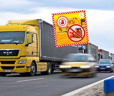 Tony żywności z Ukrainy z zakazem wjazdu. Oto co wykryły służby
