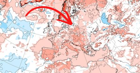 To czeka Polskę. Synoptycy z Rosji ogłaszają ws. czerwca