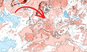 To czeka Polskę. Synoptycy z Rosji ogłaszają ws. czerwca