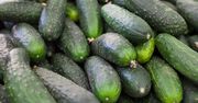 Warzywo do zadań specjalnych. Dlaczego warto jeść ogórki?