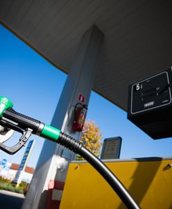 Droższe wyjazdy na majówkę. Tankowanie przed powrotem może uderzyć po kieszeni