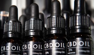 ­­­­Polacy szturmują sklepy z olejkami CBD. Sprzedaż wzrosła o 80 proc.