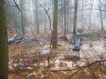 Tragiczny lot na Podkarpaciu. Zginęło dwóch braci. Nie byli sami na pokładzie