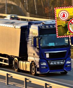 Prawie 22 tys. kg żywności z Chin w rękach służb. Oto co wykryto