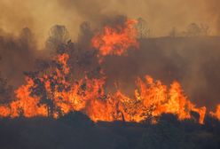 Pożary trawią Turcję. Zatrzymano domniemanych sprawców