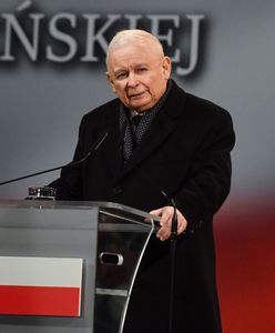 "Kanalie". Tak komentują ruch Kaczyńskiego