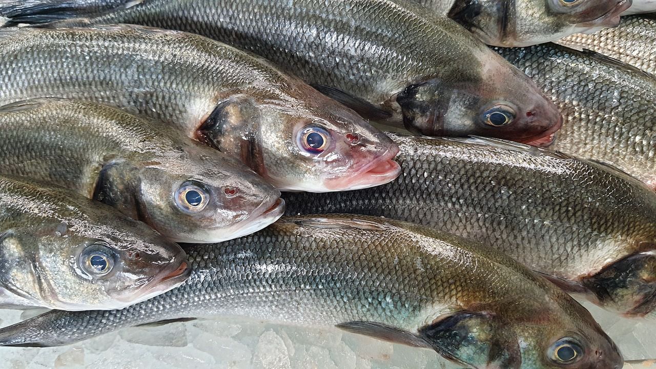 Zdjęcie ilustrujące 