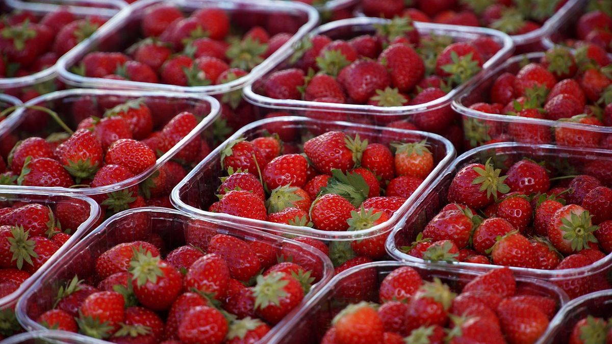 Uwaga na pleśń na truskawkach