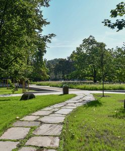 Pogoda. Wrocław. 4 lipca - upały wracają. Nagła zmiana w aurze