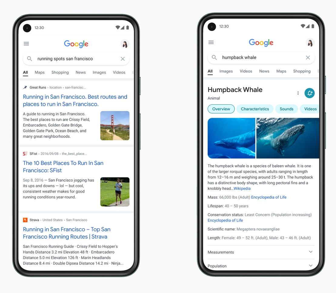Zmieniony wygląd Google