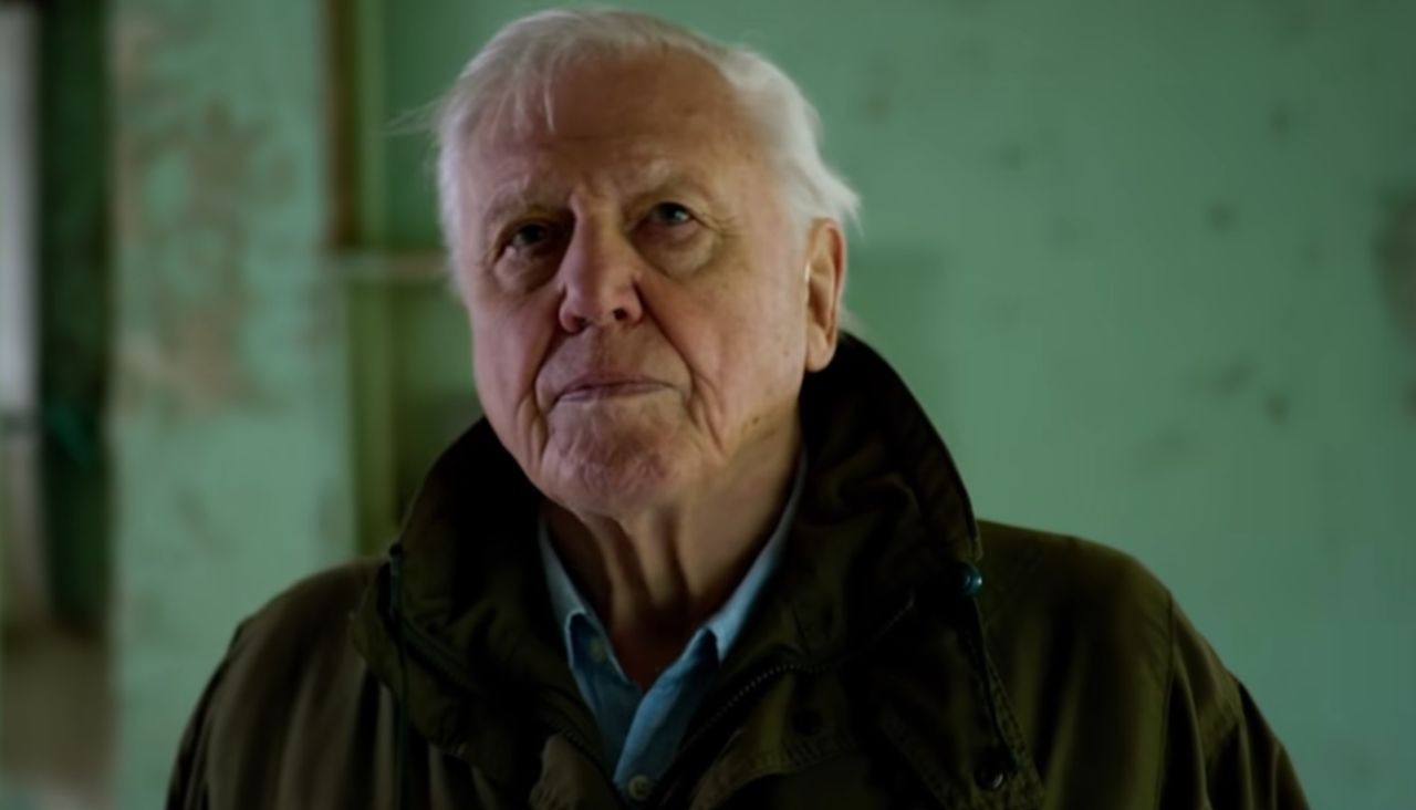 David Attenborough na Instagramie. 94-letni biolog zdobył ponad 2 miliony fanów