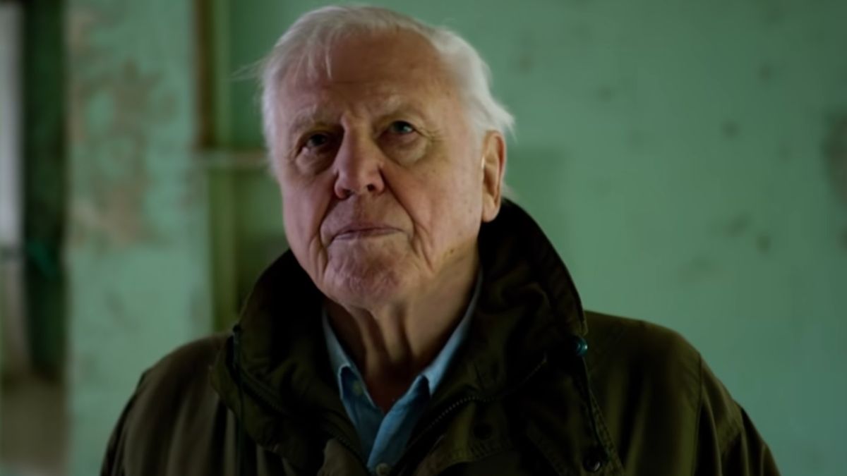 David Attenborough na Instagramie. 94-letni biolog zdobył ponad 2 miliony fanów 1