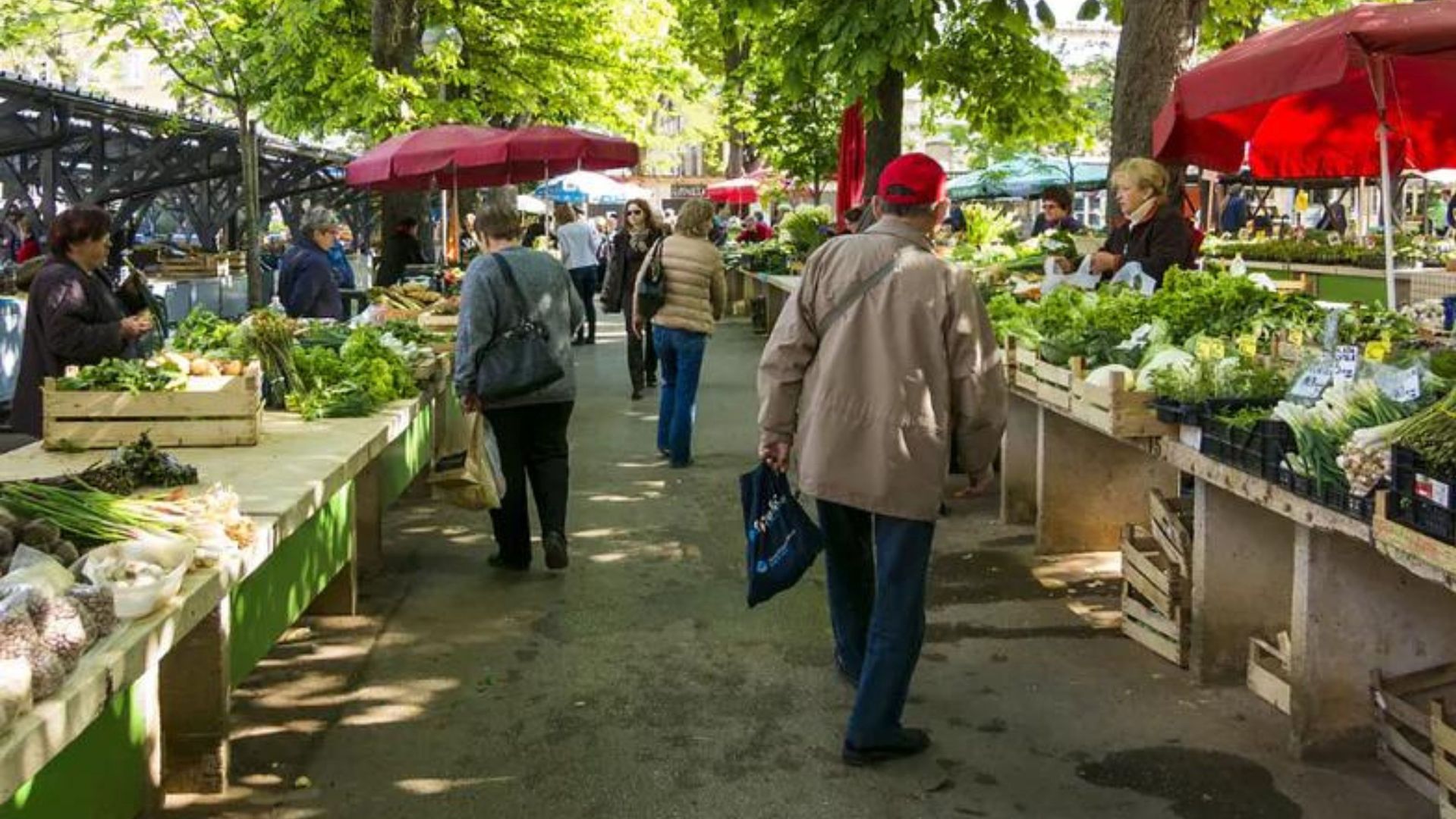 Ceny ziemniaków biją rekordy. "Aż głowa boli"